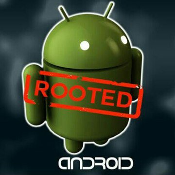 Bootloop id