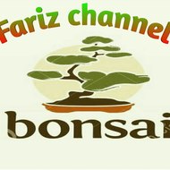 Fariz channel