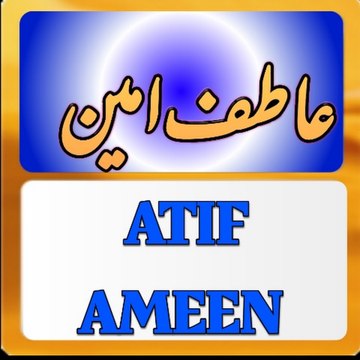 Muhammad Atif Ameen News Reporter