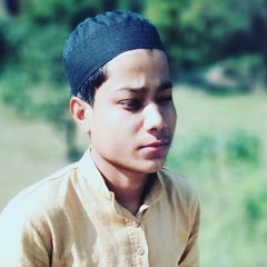Muhammad Vais Warsi