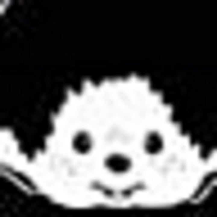 Dailymotion profile picture for @kiki