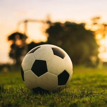Sport news