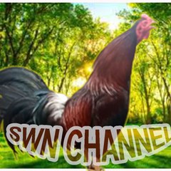 SWN Channel