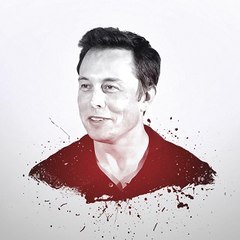 Elon Musk Zone