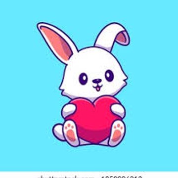 Funny Animals Official