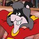 The Raccoons Abridged