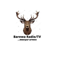 Barewa Radio/TV