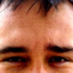 Hubert Guillaud