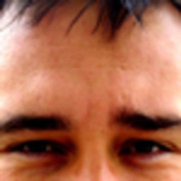 Hubert Guillaud