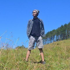 BiVision
