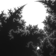 PoeticaTheWeird