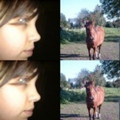 princesse-gagou