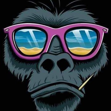 The Monkey Kingdom