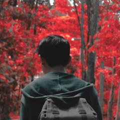 Cahyo.Channel (CC) .