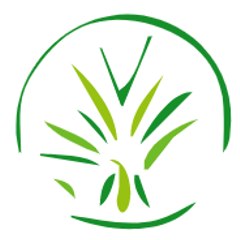 MinTu  07