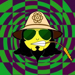 Mr. Don Bi
