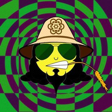 Mr. Don Bi