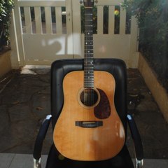 60' s & 70's guitar covers.