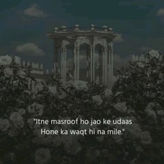 PetTok Reall Lovers