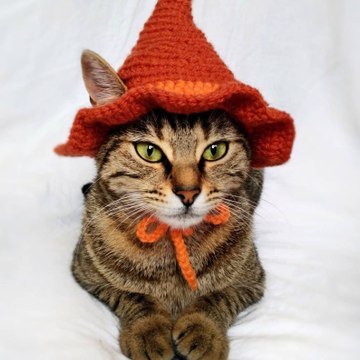 selda9523nevgece2594