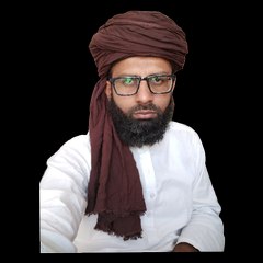 Hafiz Mahmood Rizvi