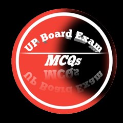 Daily Online Academy