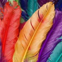 Colour Paints