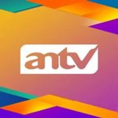 Antv Series India