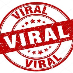 News Viral ID