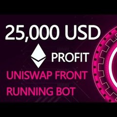 Uniswap BOT Auto Swap Tokens 100x ETH Profit