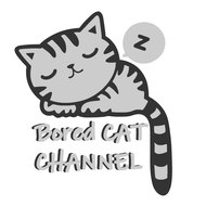 Bored Cat Channel
