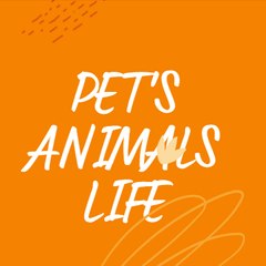 Pets animals Life