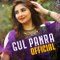 Gul Panra Official