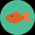 jonathancohen51