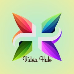 Video Hub
