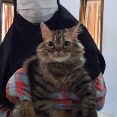 Nanda Kusrianda