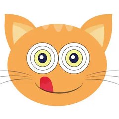 Funs Cat