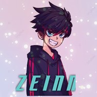 Zeinn001
