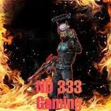 ND 333 GAMING