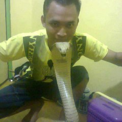 Cafe nabila