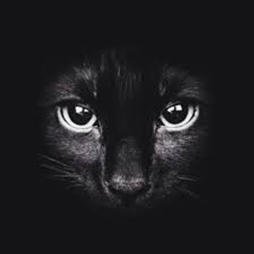 kamilaskin44298comam