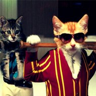 bulentcanberk47605comam