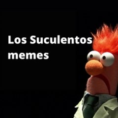 Suculentos Memes