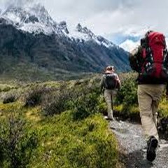 survival in nature channel