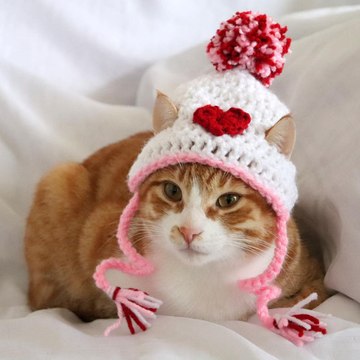 mustafaaltinbas4496by