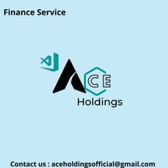 ACE Holdings