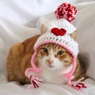 kufecilertarkancomge