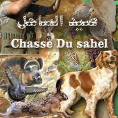 Chasse du Sahel