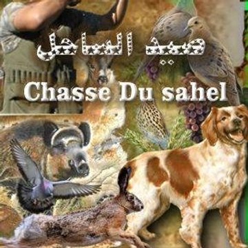 Chasse du Sahel