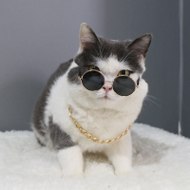 benguberberoglu51724ru